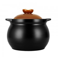 炊大皇  鲜味煲炖汤煲TCX6645  4.5L