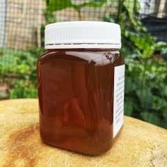 阿龙与阳仔  龙眼蜜 250g