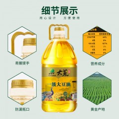 北大荒 大荒印象非转基因一级大豆油 1瓶*5L 6975743530067
