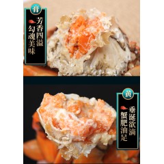 海豪客 三门青蟹 1288型 公母混搭6只 单只5-6两 总重量约1800克