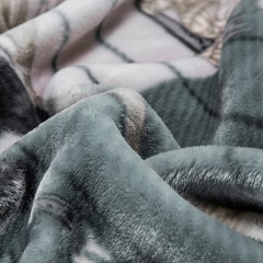 恒源祥 万木争荣绒毯TGM1009 200*230cm 3800g 6941204318949