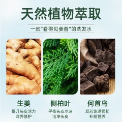 卓蓝雅 防脱防脱套装（400ml防脱洗发水+50ml防脱液）