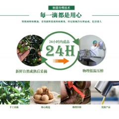 康艾拾光 有机初榨核桃油500ml单瓶装 6974522680207