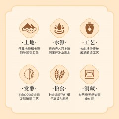 龟仙洞酱香型白酒 洞酿十五 53度洞酿洞藏  500ml 单瓶  6974353960103