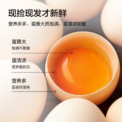 阳光蛋仔 可生食800米高山富硒蛋30枚 6976637430005