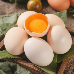 天凯 有机800米高山生态蛋 太行山顶散养可生食有机鸡蛋1.1kg/30枚 6956678600216