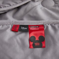 迪士尼 春秋羽绒被保暖双人卡通被子20220601 200*230cm 6971582767350