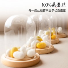 蚕花娘娘 慕白蚕丝被芯 100%桑蚕丝(长丝+中短丝） 200*230cm 4000g