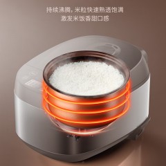 九阳 电饭煲F30FZ-F430  3L  6953349864762   偏远另加运费