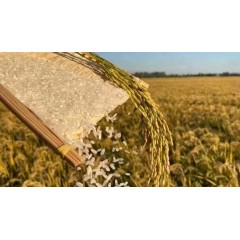 鱼穑 五常稻花香家庭装米砖  五常稻花香 5kg/袋（米砖） 偏远另加运费