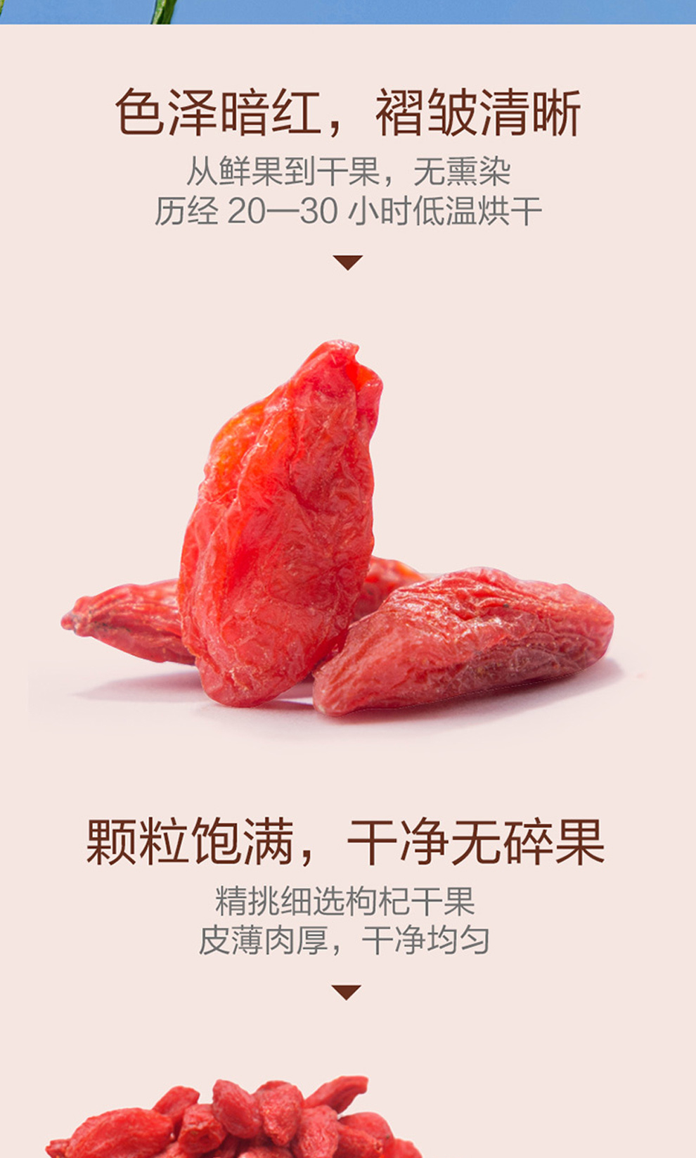 中茶红枸杞代用茶_04.jpg