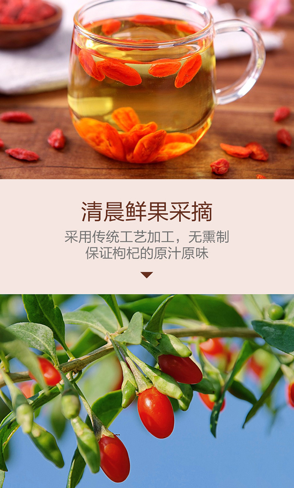 中茶红枸杞代用茶_03.jpg