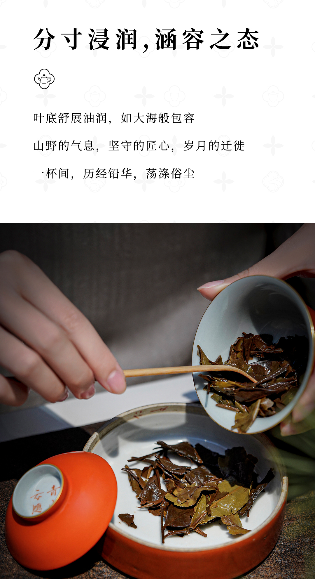龙涎-2012寿眉详情页_10.jpg