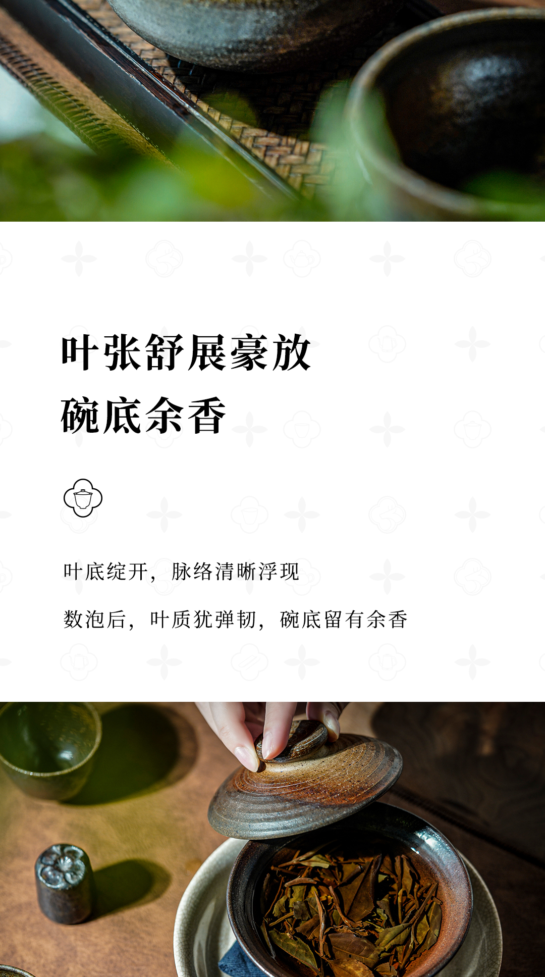 嘉木-2012寿眉_10.jpg