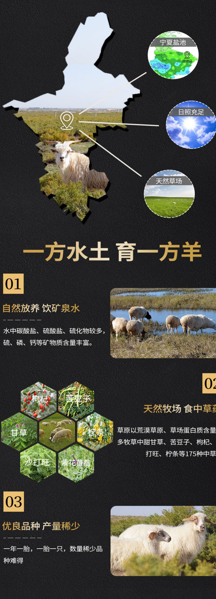 详情页_05.jpg
