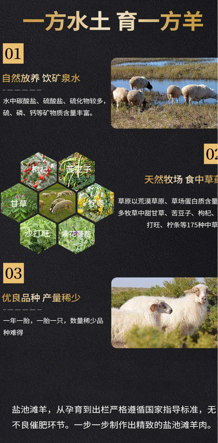 详情页_04.jpg