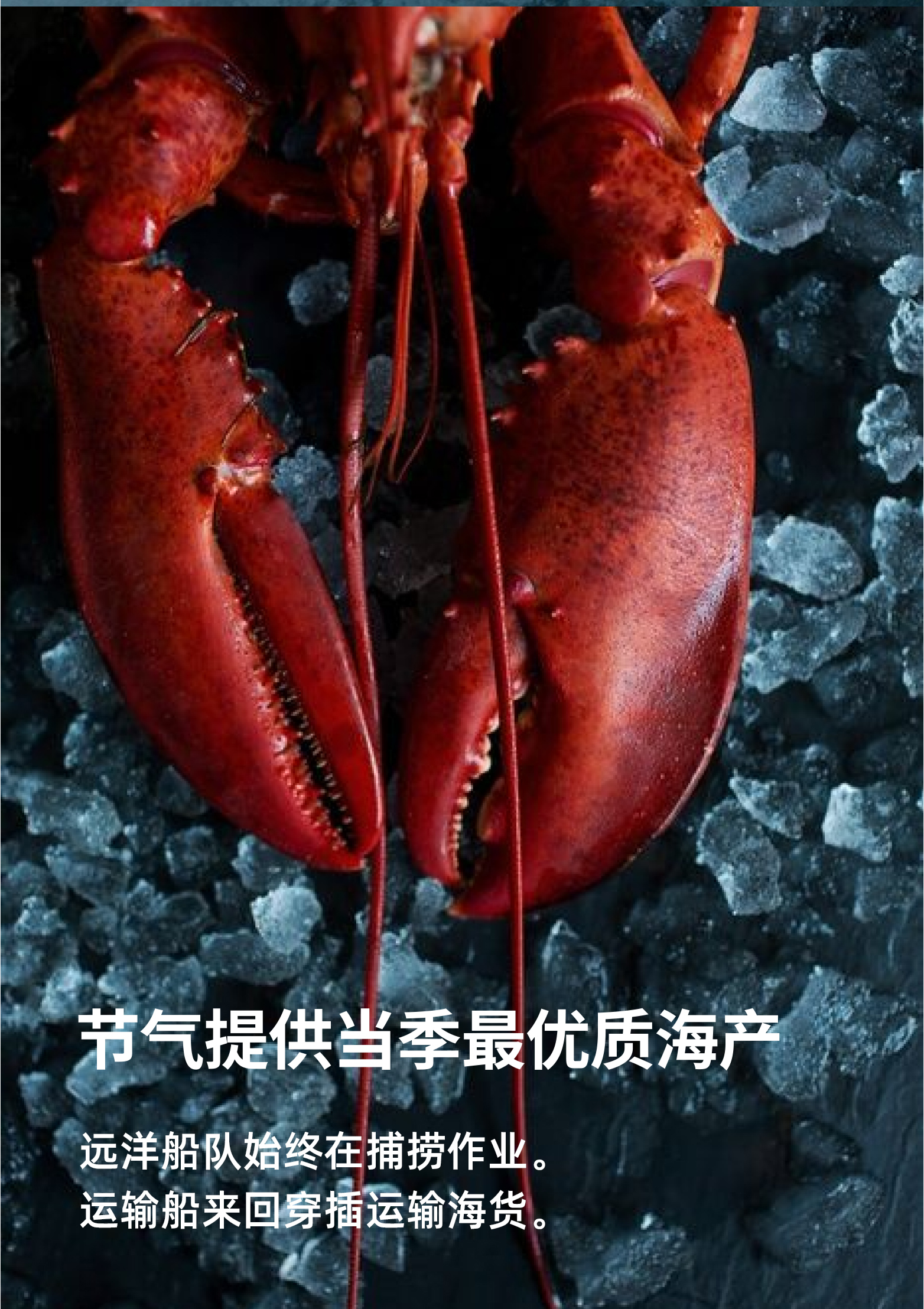 988详情页_03.jpg